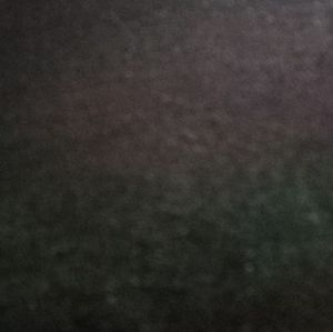 Meet your Posher, Phillip